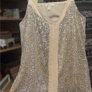 Maurices Silver Sequin Robe